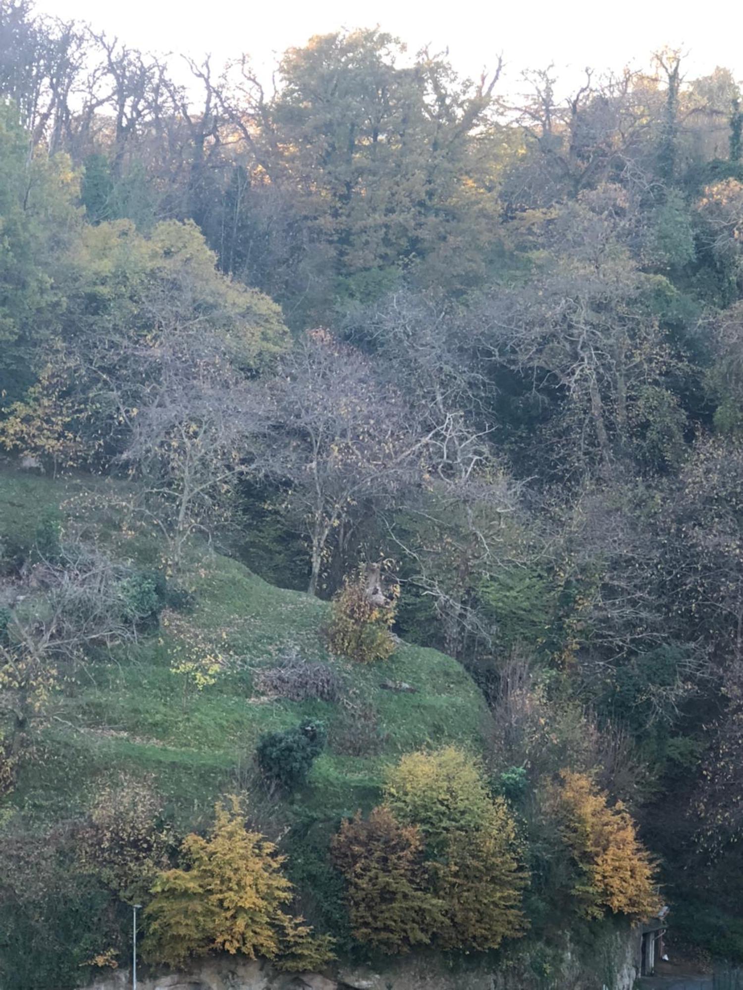 Appartamento Casa Di Giose Con Garage Caprarola Esterno foto